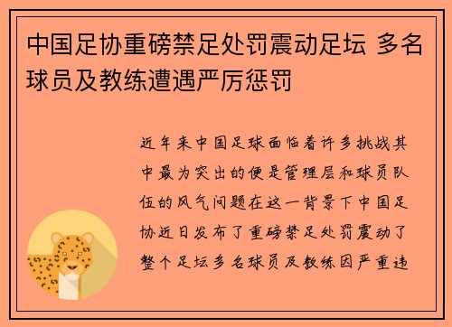 中国足协重磅禁足处罚震动足坛 多名球员及教练遭遇严厉惩罚 中国足协重磅禁足处罚震动足坛 多名球员及教练遭遇严厉惩罚