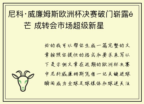 尼科·威廉姆斯欧洲杯决赛破门崭露锋芒 成转会市场超级新星